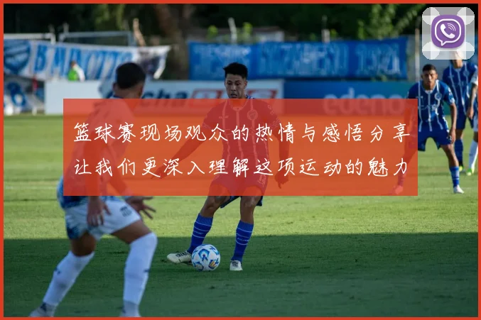 篮球赛现场观众的热情与感悟分享让我们更深入理解这项运动的魅力与团队精神