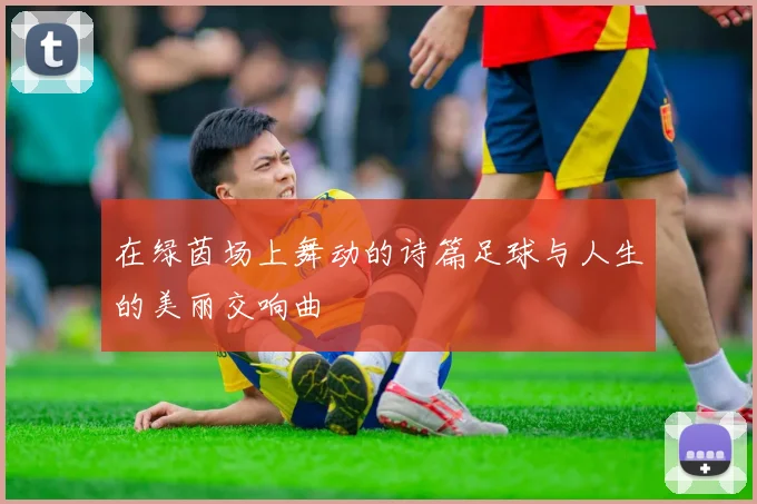 在绿茵场上舞动的诗篇足球与人生的美丽交响曲