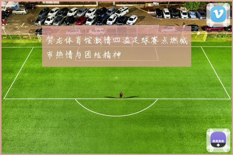 贺龙体育馆激情四溢足球赛点燃城市热情与团结精神